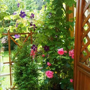 Apartment Mit Gartenblick, Eckersdorf
